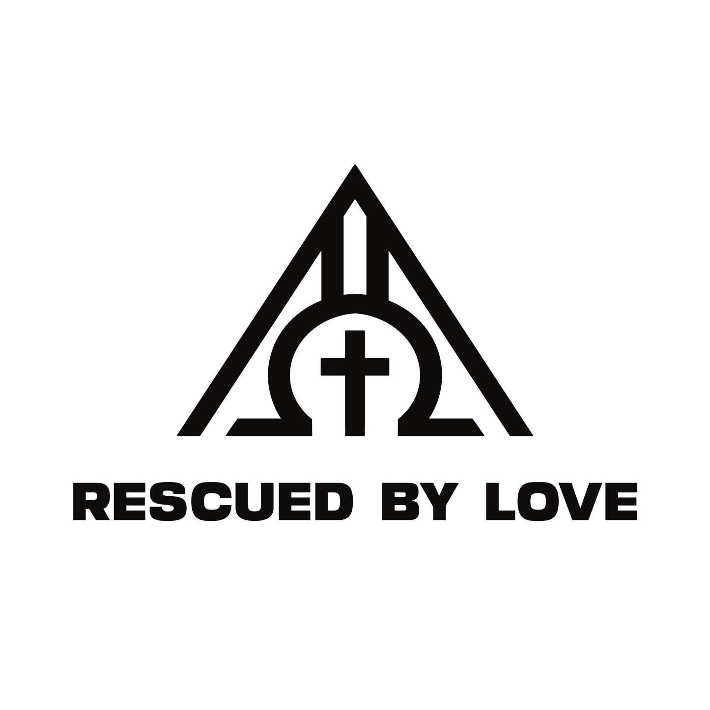 Rescued Oversized Tee